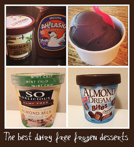 The Best Dairy Free Frozen Desserts
