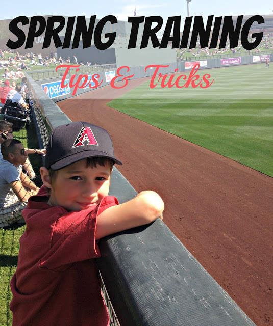 10 Tips for attending Cactus League Spring Training in Arizona