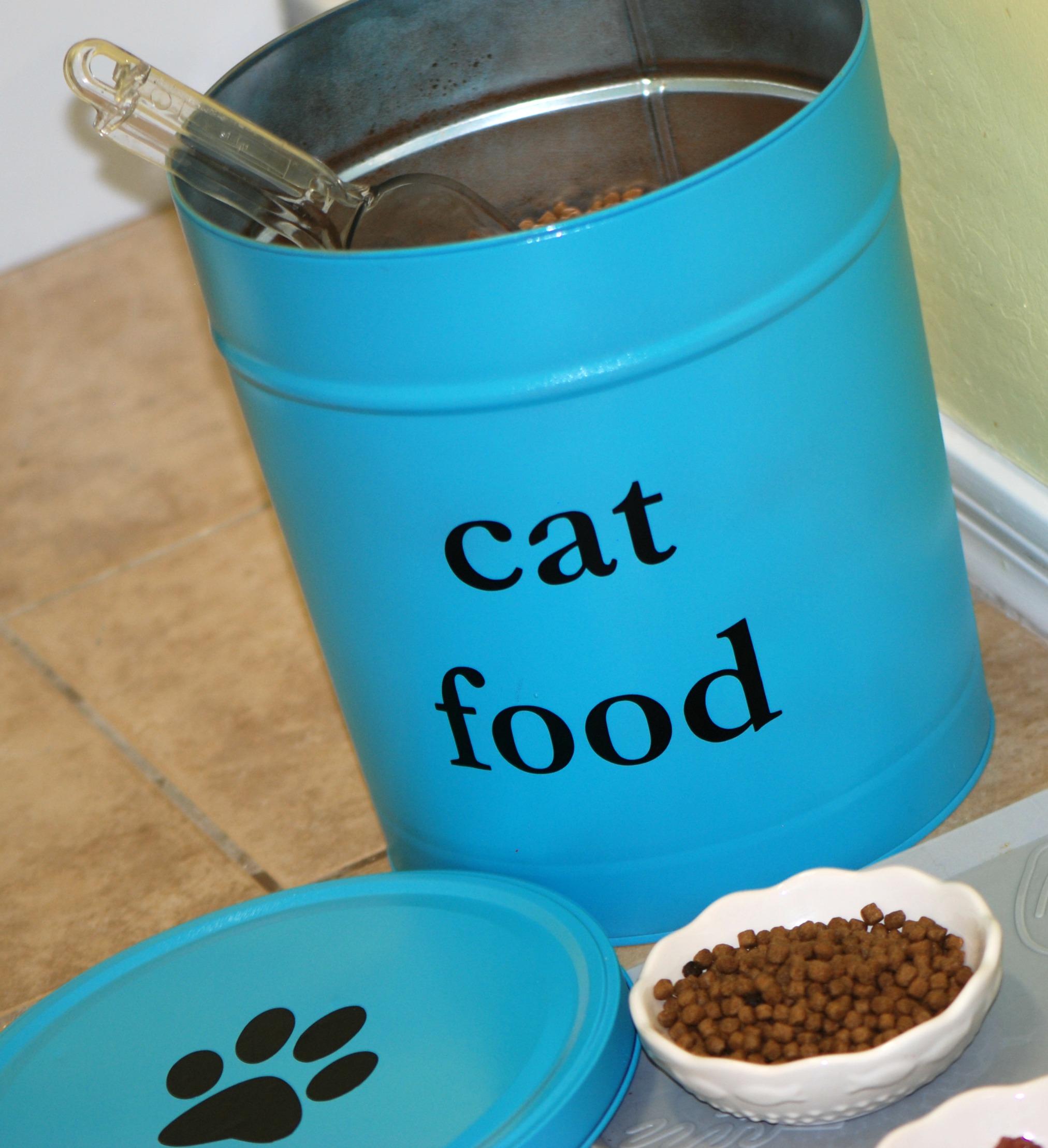 Meet Sara and Sammy, My Two Quirky and Lovable Rescue Cats