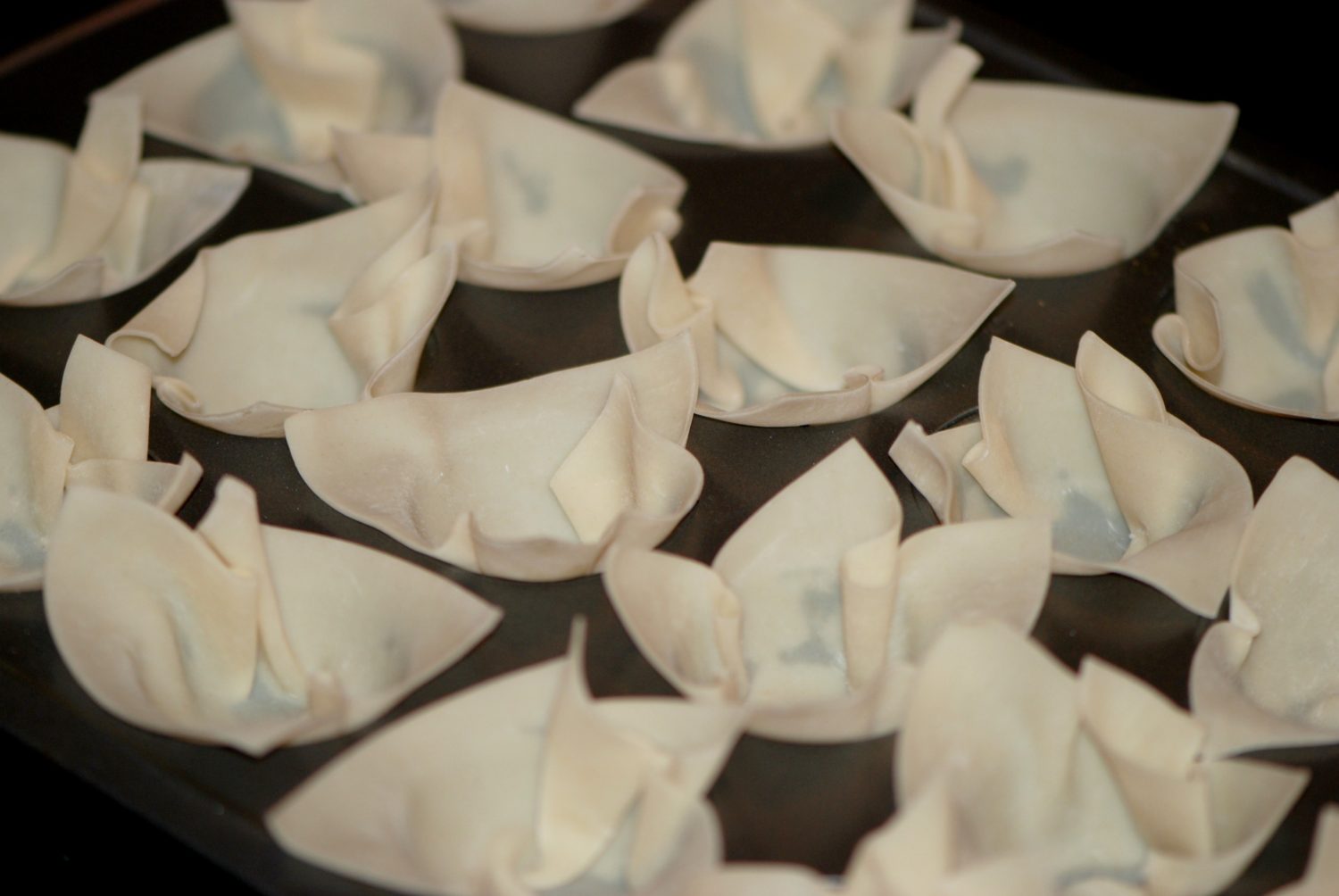 wonton cups