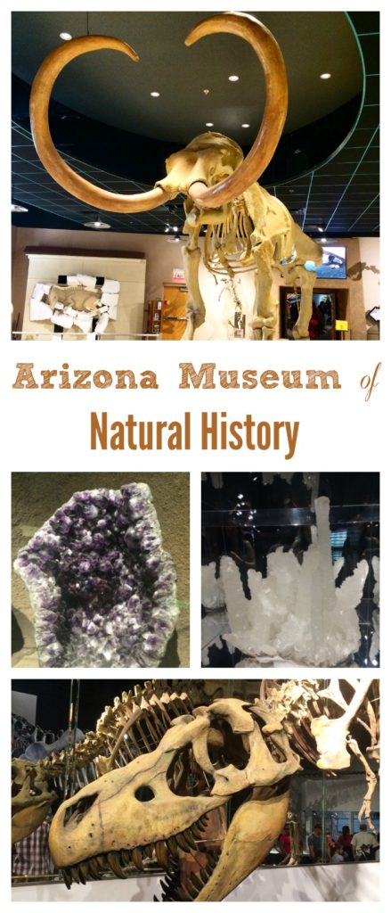 Arizona Museum of Natural History Mesa AZ