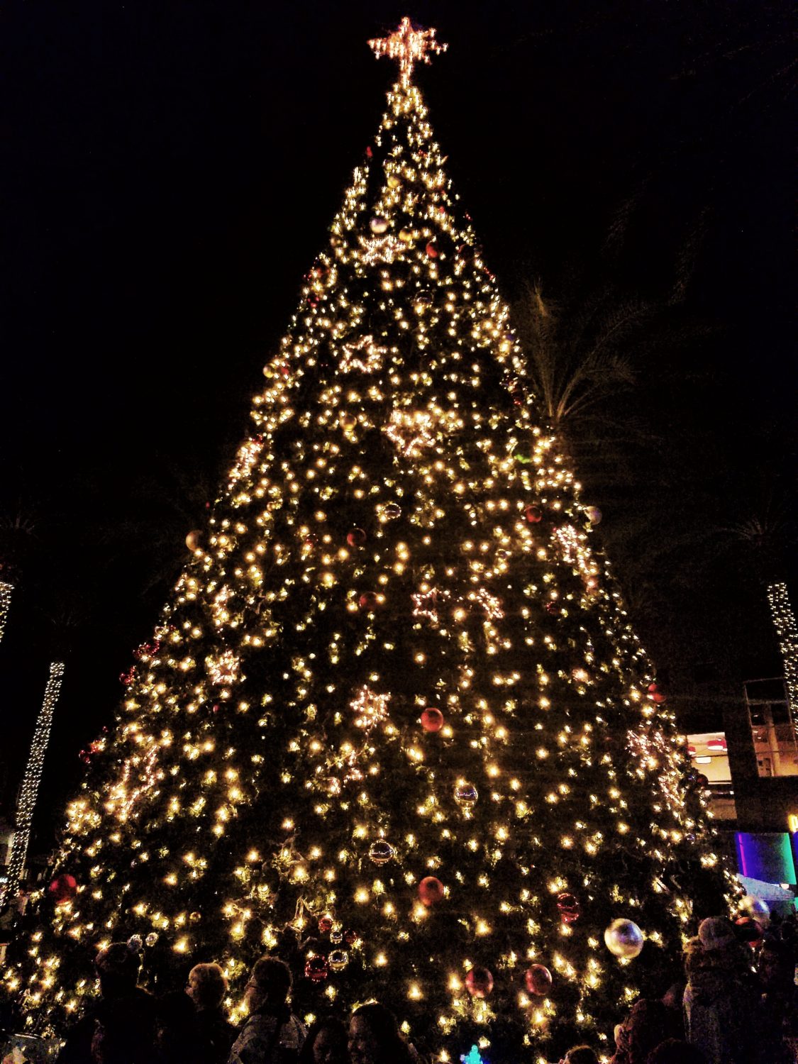 20161126_192230-01