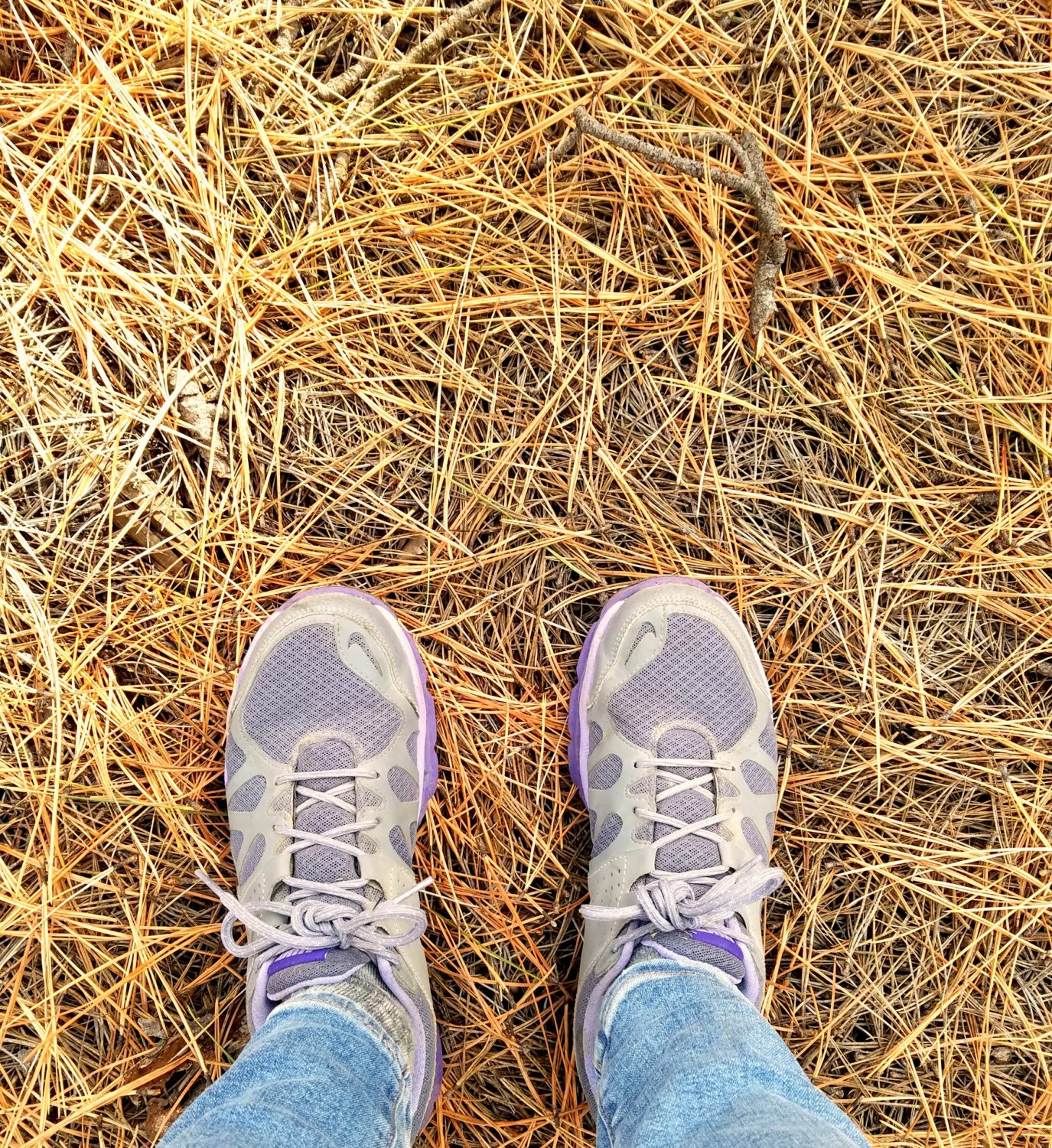 hiking-in-the-mountains