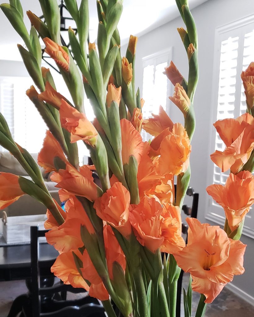 buy yourself flowers
