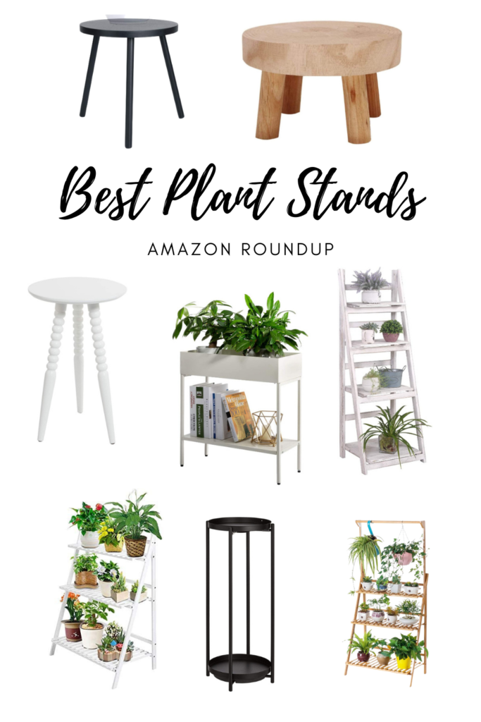 Best Plant Stands for Houseplants