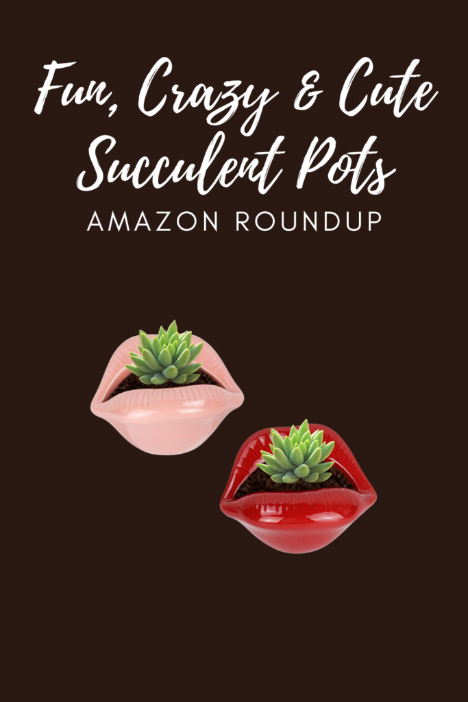 Fun, Crazy & Cute Succulent Pots