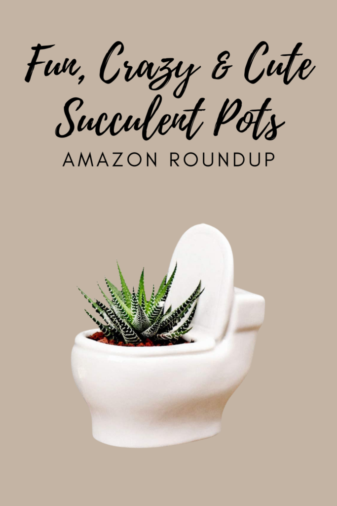 Fun, Crazy & Cute Succulent Pots