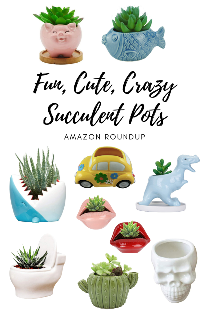 Succulent Pots