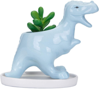 blue dinosaur succulent pot
