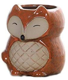 fox succulent pot
