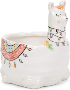 llama succulent pot