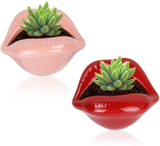 pink and red lips succulent pots