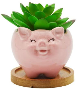 pink pig succulent pot