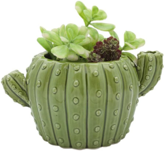 saguaro succulent pot