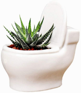 toilet succulent pot